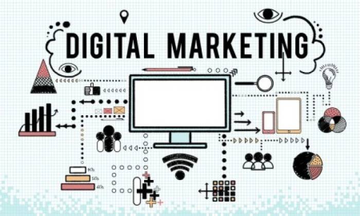 Top 5 digital marketing company in panchkula