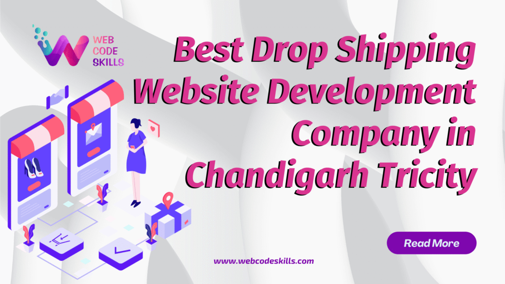 Best Drop Shipping Website Development Company in Chandigarh